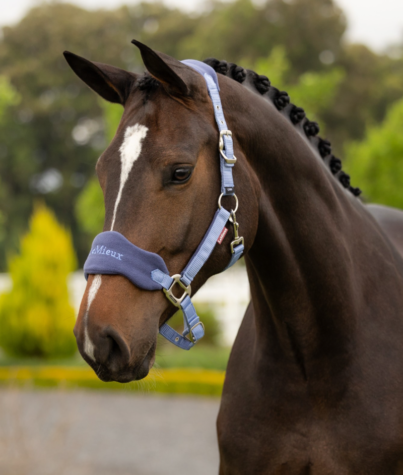 LeMieux Vogue Headcollar and Leadrope - Powder Blue-1