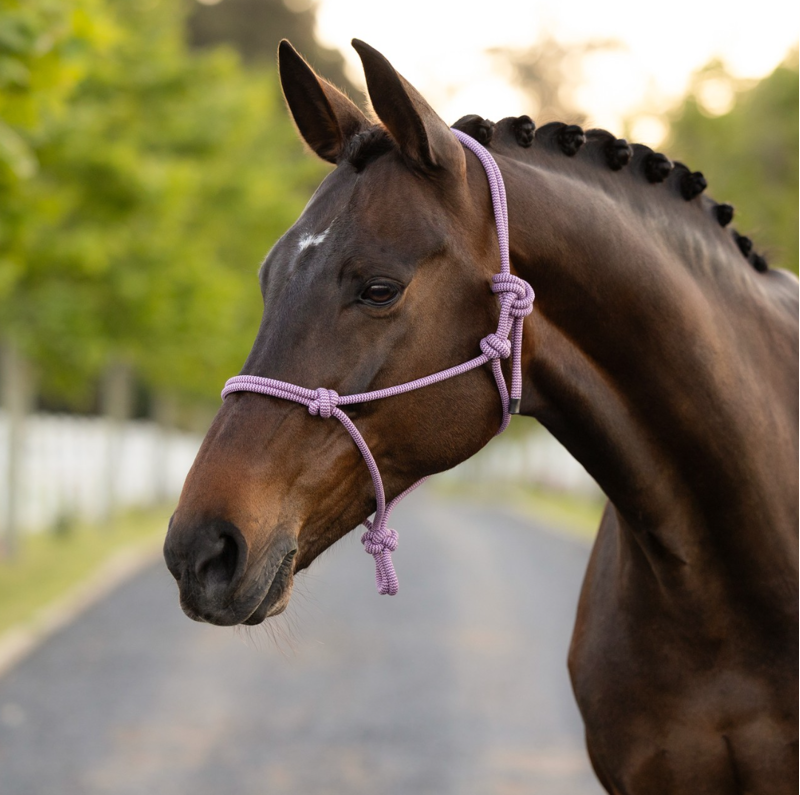 LeMieux Rope Halter - Fondant -1