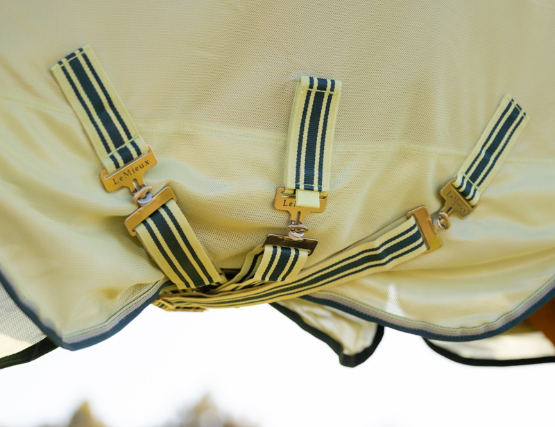 LeMieux Arika Armour-Tek Detachable Neck Fly Rug - Macaron-3