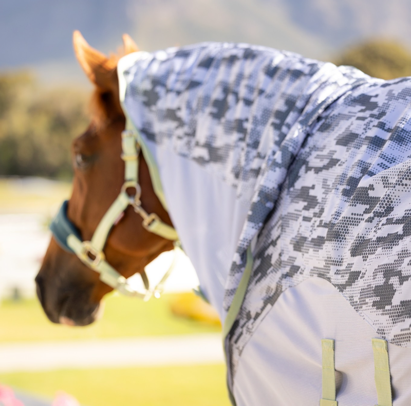 LeMieux Arika Camo-Tek Fly Rug - Macaron-1