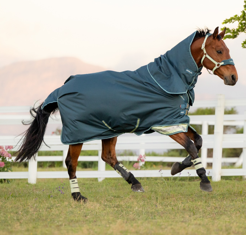 LeMieux Arika Ripstop 50g Turnout Rug - Jungle