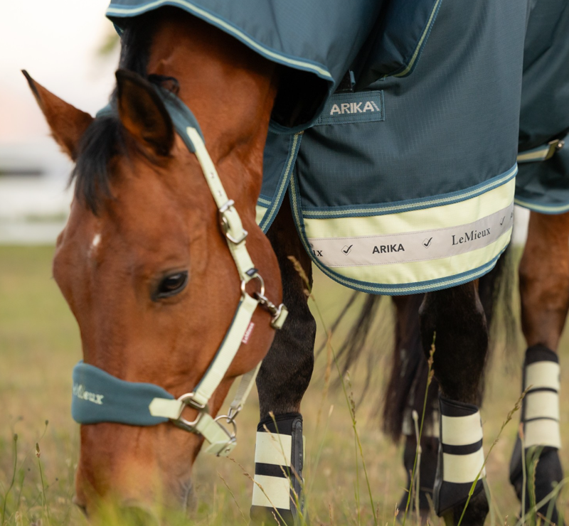 LeMieux Arika Ripstop 50g Turnout Rug - Jungle-2