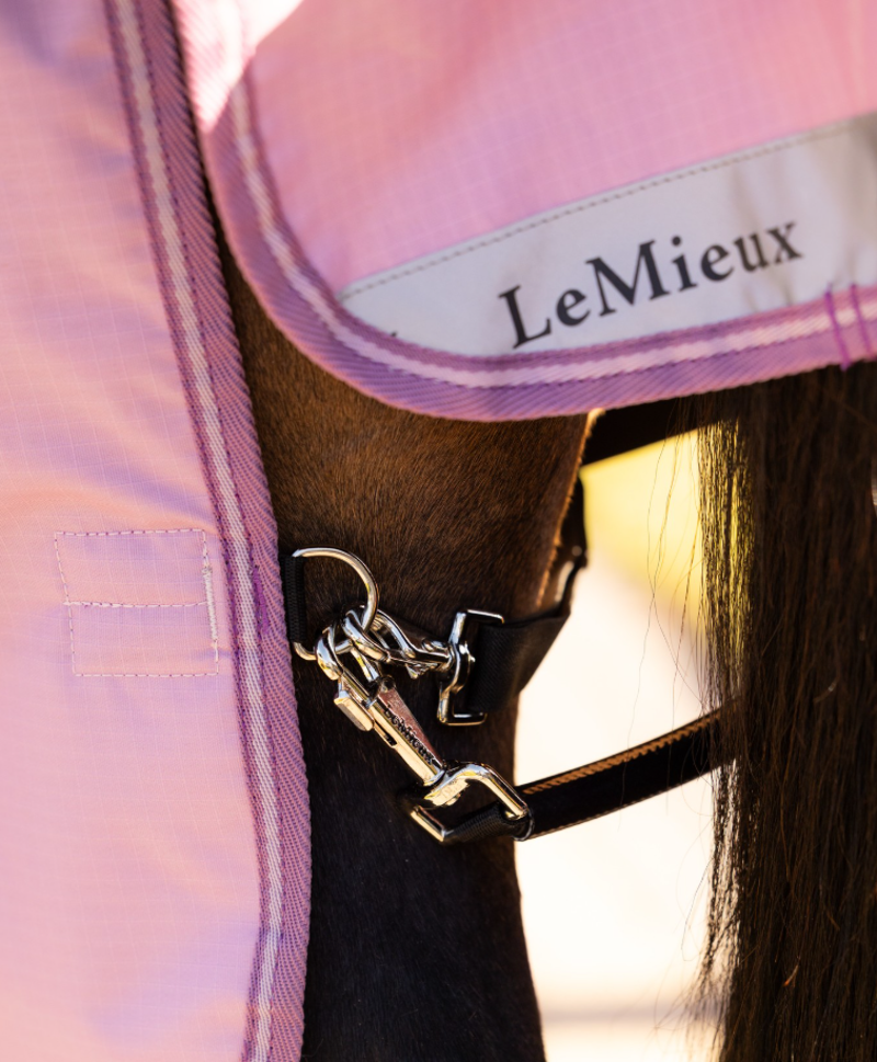 LeMieux Arika Ripstop 50g Turnout Rug - Fondant-4
