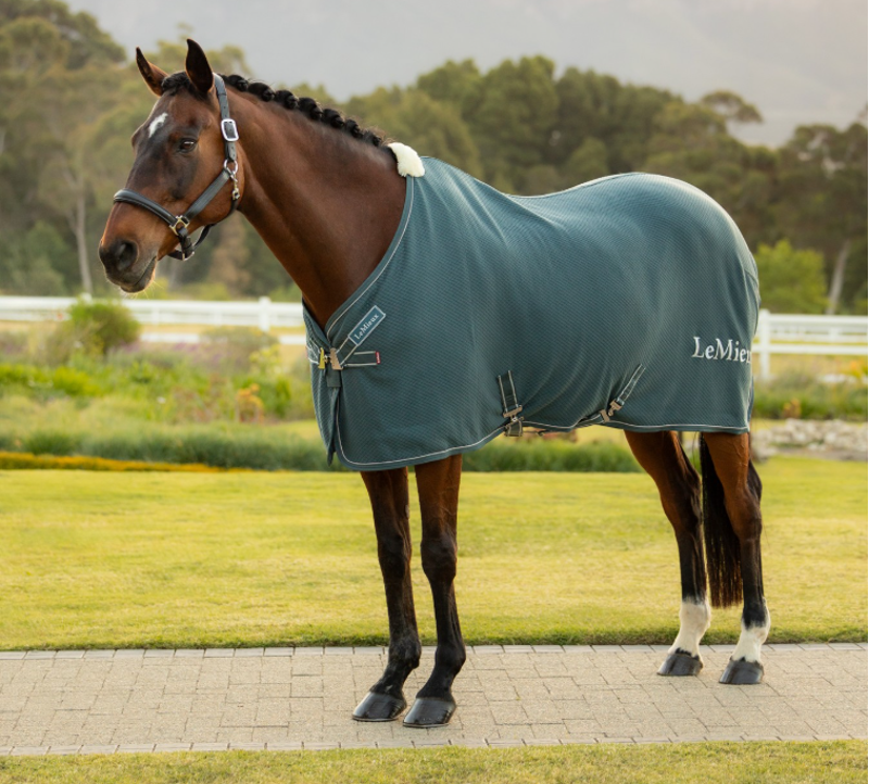 LeMieux Kudos Bamboo Cooler Rug - Jungle