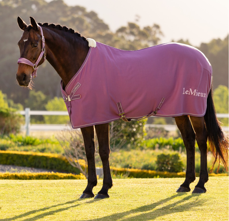 LeMieux Kudos Bamboo Cooler Rug - Mallow