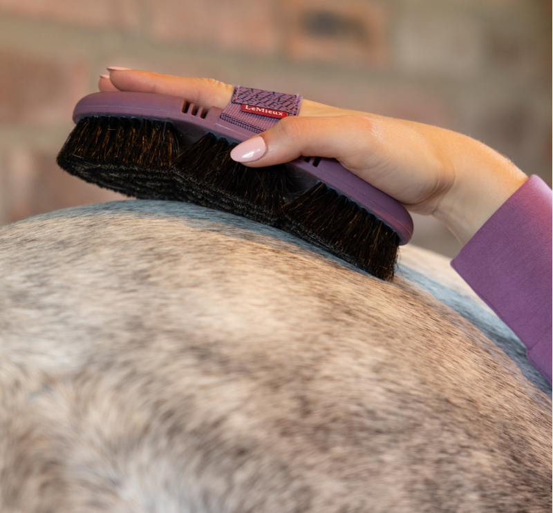 LeMieux Flexi Horse Hair Body Brush - Powder Blue-1