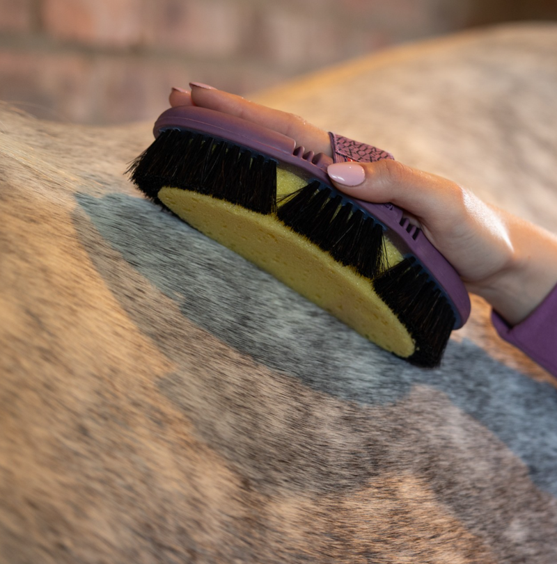 LeMieux Flexi Sponge Brush - Powder Blue -1