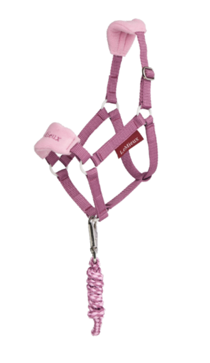 LeMieux Hobby Horse Vogue Headcollar and Leadrope - Mallow 