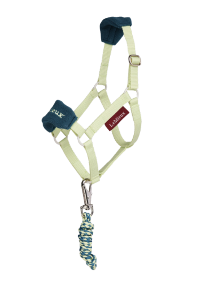 LeMieux Hobby Horse Vogue Headcollar and Leadrope - Macaron 