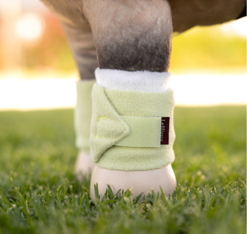 LeMieux Toy Pony Bandages - Macaron -1