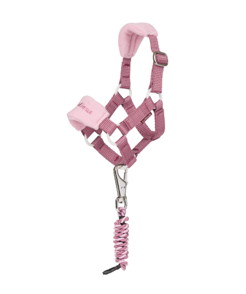 LeMieux Toy Pony Vogue Headcollar and Leadrope - Mallow 