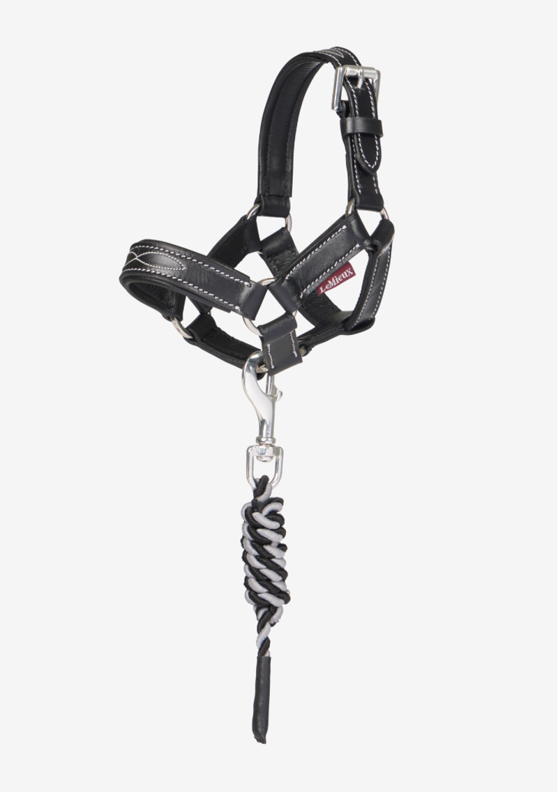 LeMieux Toy Pony Leather Headcollar and Leadrope - Black 