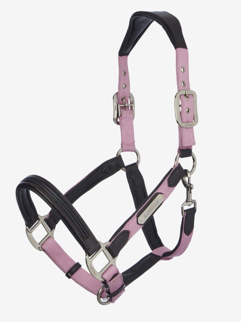 LeMieux Capella Headcollar - Fondant