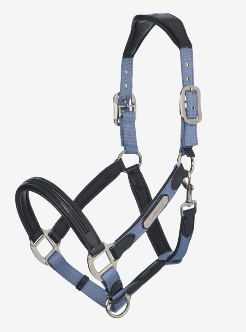 LeMieux Capella Headcollar - Powder Blue