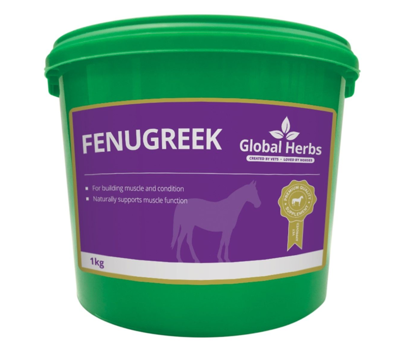 Global Herbs Fenugreek Seeds - 1 kg