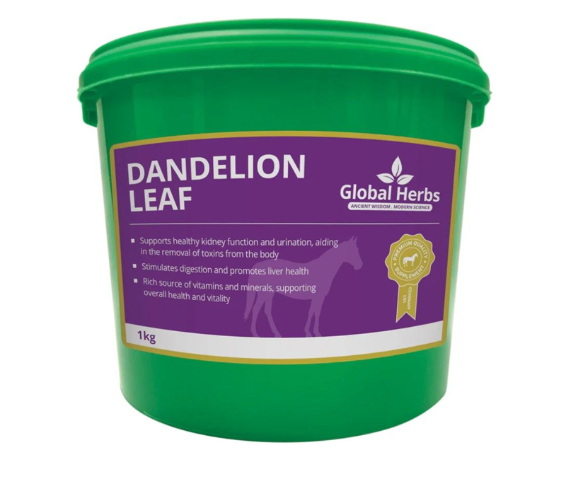Global Herbs Dandelion Leaf - 1 kg