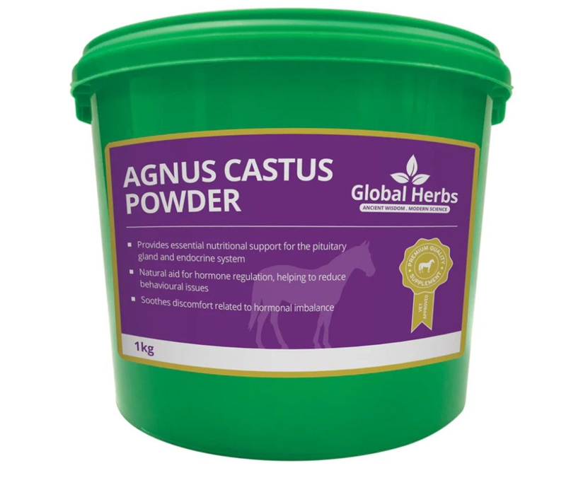 Global Herbs Agnus Castus Powder - 1 kg