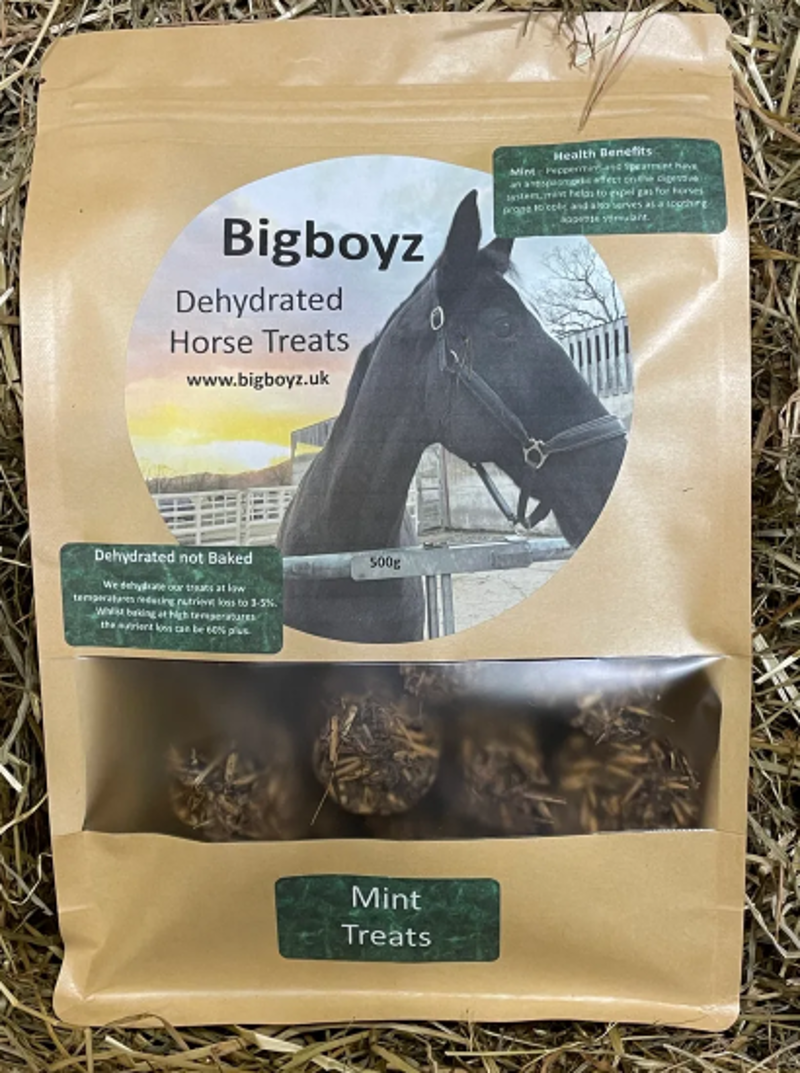 BigBoyz Horse Treats - Mint
