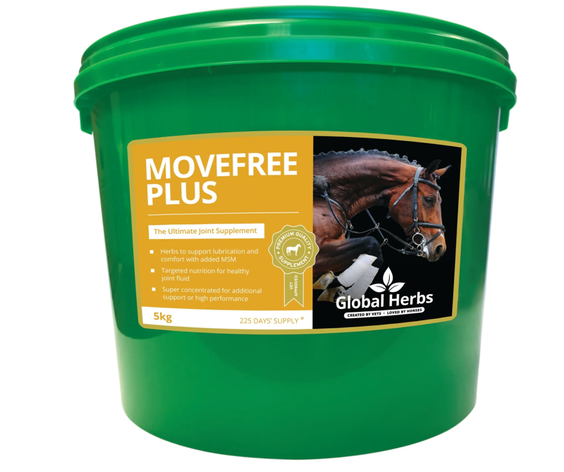 Global Herbs Movefree Plus-1