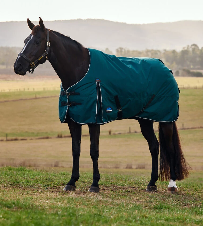 WeatherBeeta ComFiTec Classic 50g Turnout Rug  - Forest Green/Black 