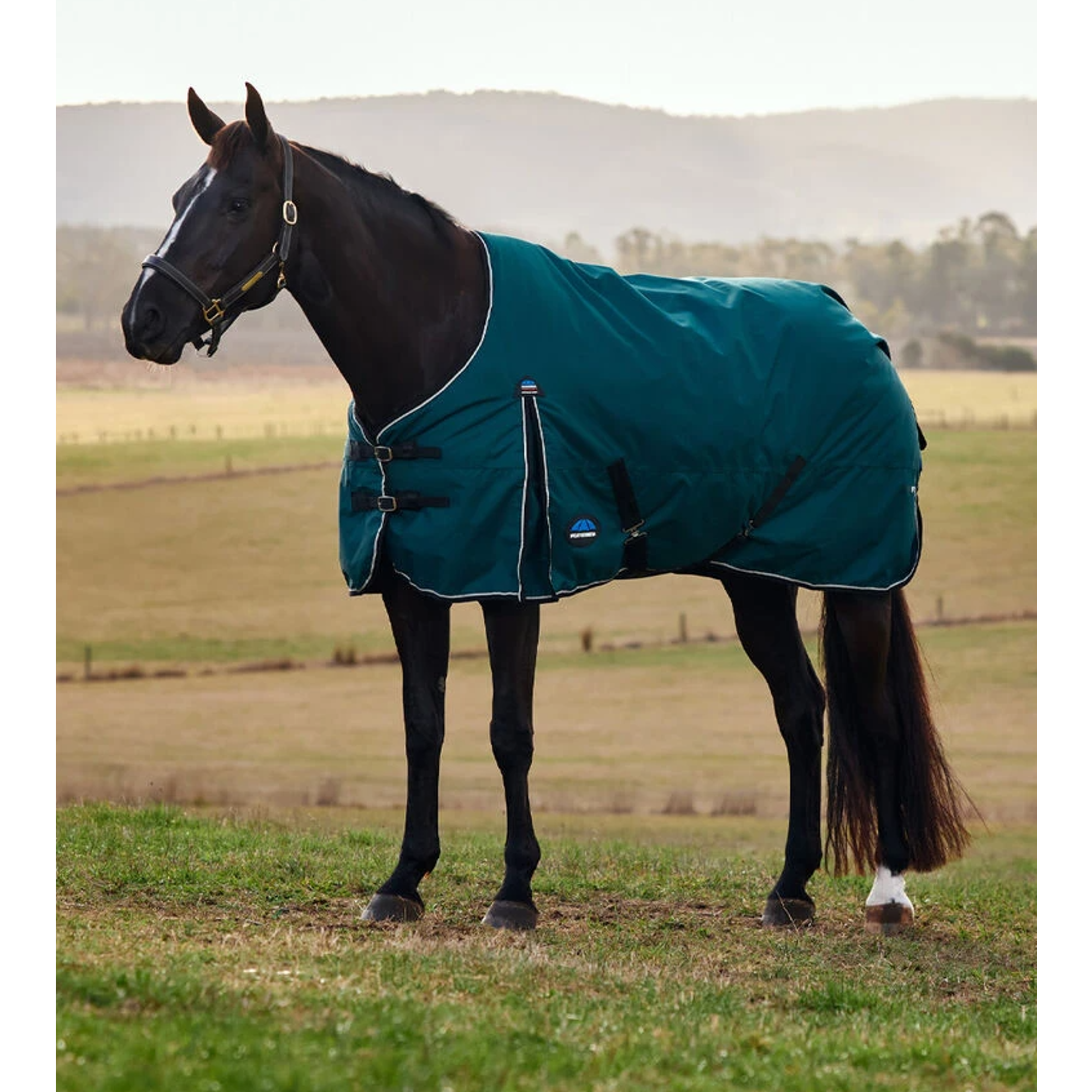 Weatherbeeta Panda Rug WeatherBeeta ComFiTec Classic 50g Turnout Rug - Forest Green/Bla