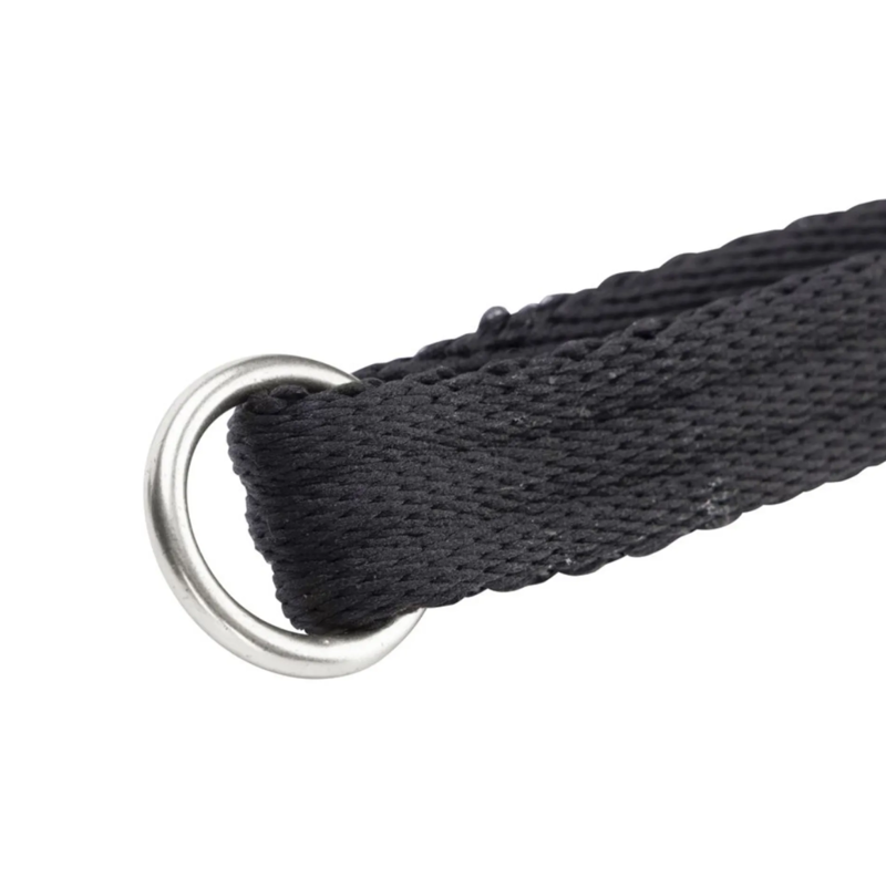 Digby and Fox Extra Long 15m Cushion Web Dog Lead - Black-1