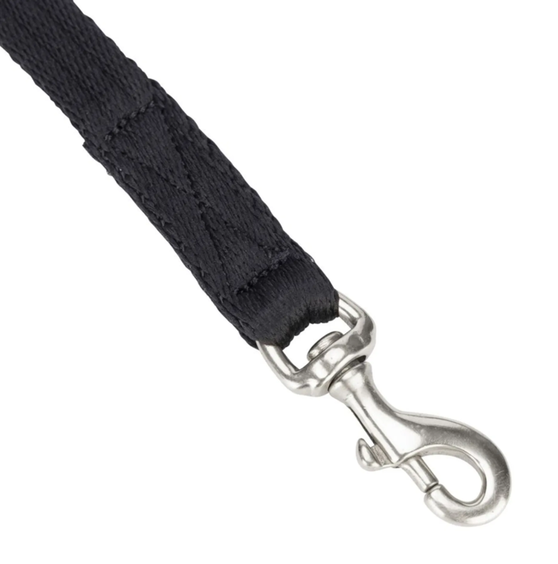 Digby and Fox Extra Long 10m Cushion Web Dog Lead - Black-1