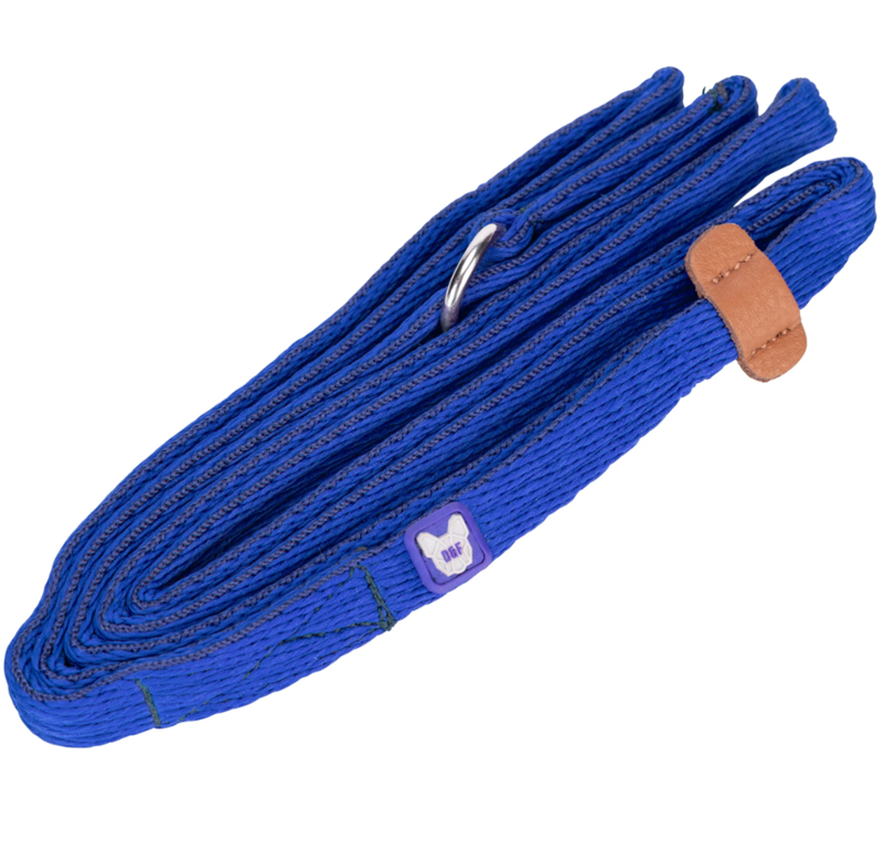 Shires Digby and Fox 1.5cm Cushion Web Slip Dog Lead - Royal