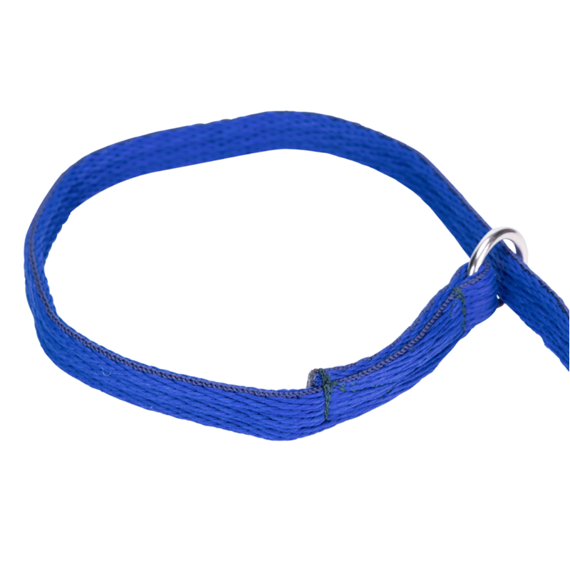 Shires Digby and Fox 2cm Cushion Web Slip Dog Lead - Royal-1