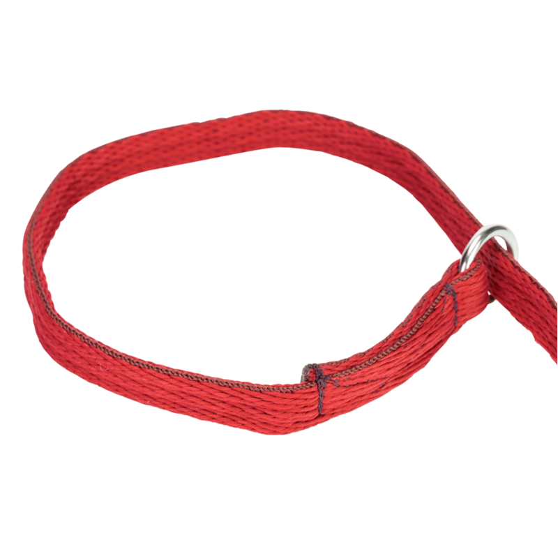 Shires Digby and Fox 1.5cm Cushion Web Slip Dog Lead - Red-1