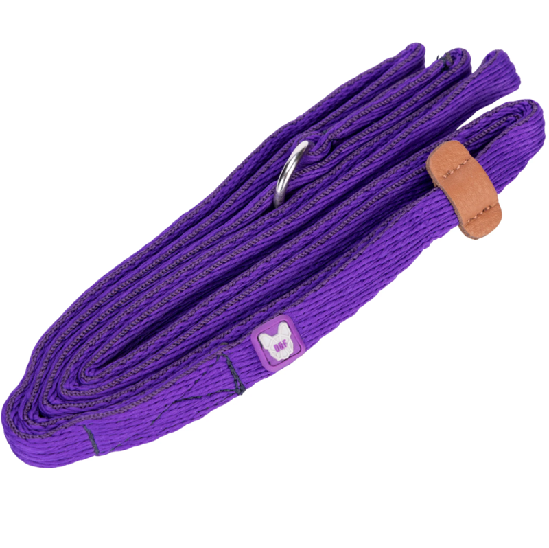 Shires Digby and Fox 2cm Cushion Web Slip Dog Lead - Purple