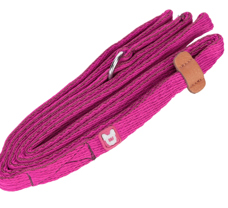 Shires Digby and Fox 2cm Cushion Web Slip Dog Lead - Navy