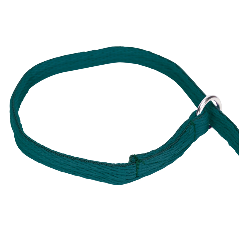Shires Digby and Fox 2cm Cushion Web Slip Dog Lead - Green-1