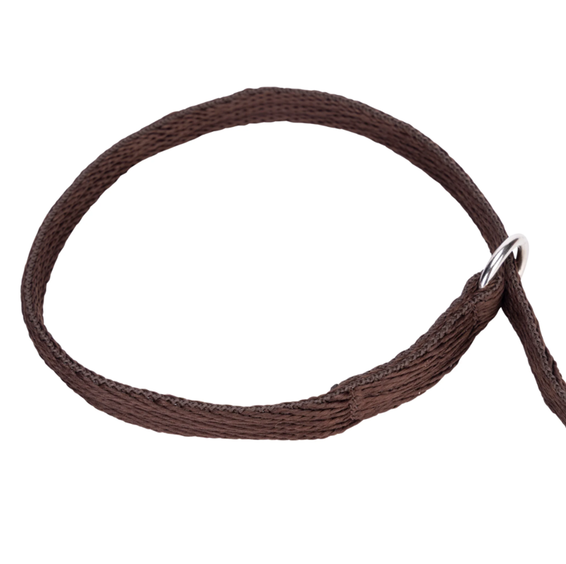Shires Digby and Fox 1.5cm Cushion Web Slip Dog Lead - Brown-1