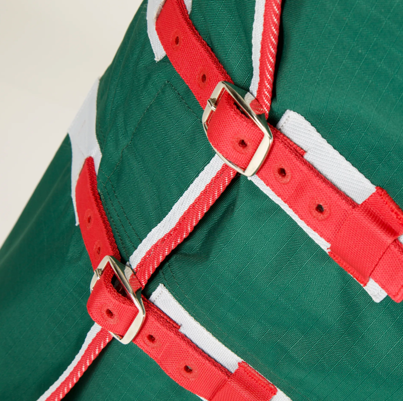 Bridleway Ontario 50g Combo Neck Turnout Rug - Dark Green-1