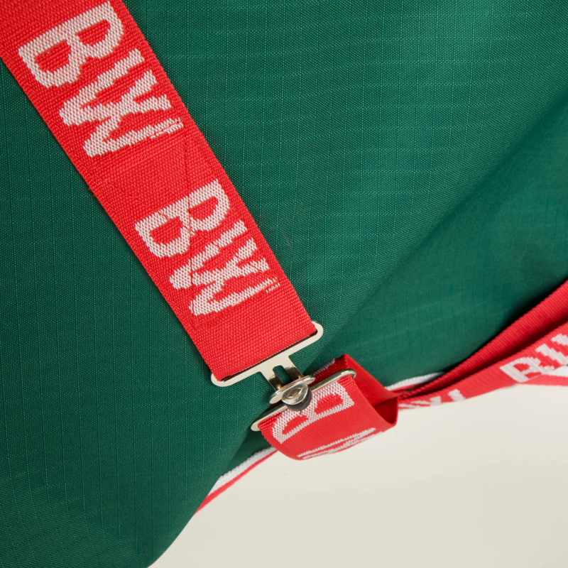 Bridleway Ontario 50g Combo Neck Turnout Rug - Dark Green-2