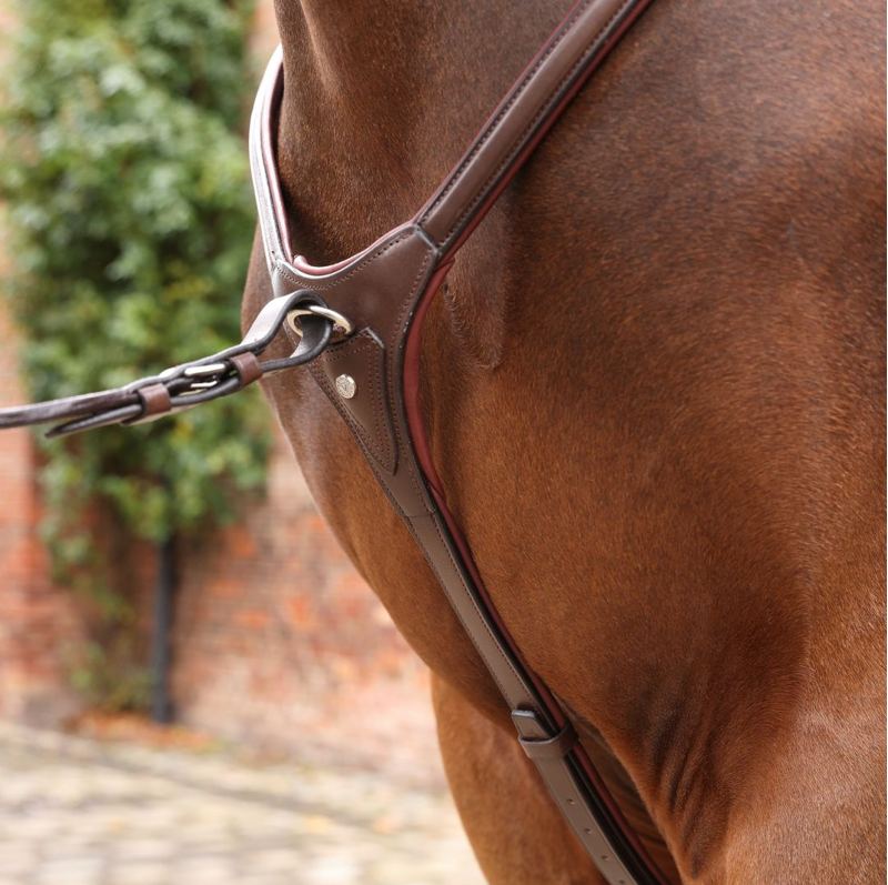Shires Velociti LUSSO Opus Close Contact Breastplate - Havana-2