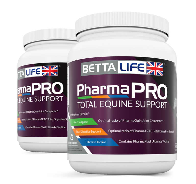 BettaLife PharmaPRO Equine Support - 1 kg
