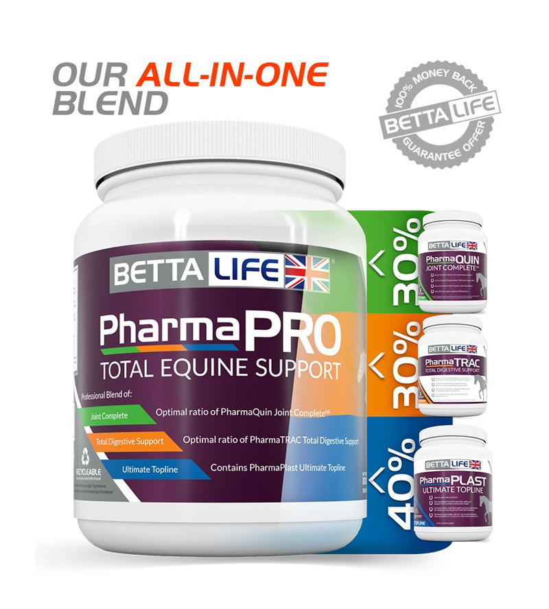BettaLife PharmaPRO Equine Support - 1 kg-1