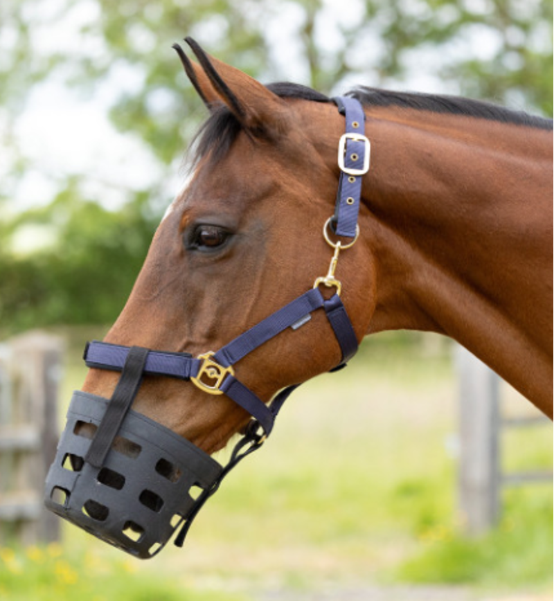Hy Equestrian Rubber Muzzle - Black-2