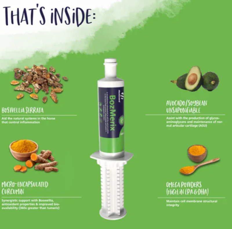 Hestevard BozMerix Paste - 60ml-1