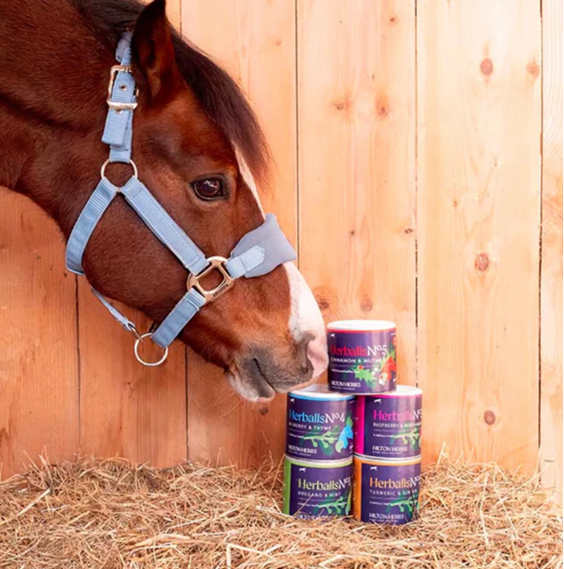 Hilton Herbs Herballs No1 Oregano and Mint-2