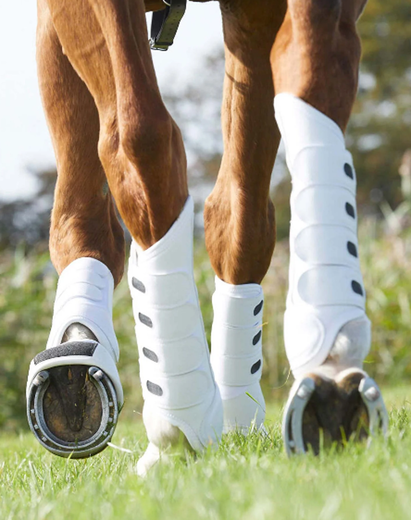 Premier Equine Studs Pointed For Varying Ground And Jumping - 4 pack-1