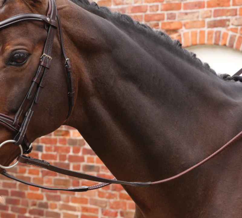 Shires Velociti LUSSO Opus Soft Grip Reins - Havana 