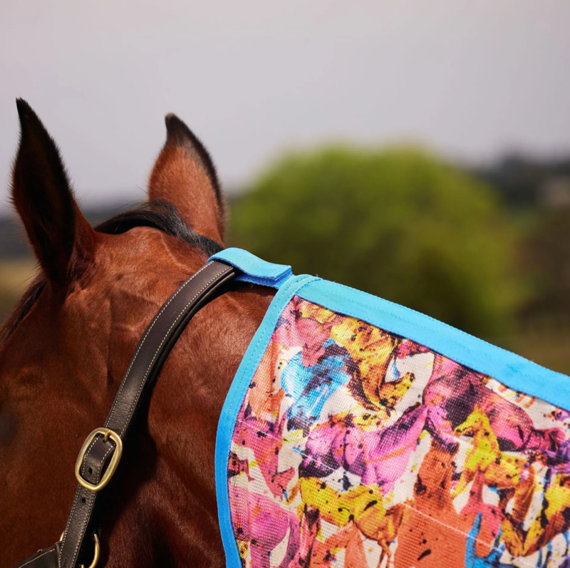 Saxon Mesh Fly Rug Combo Neck - Technicolour Horses Print -2