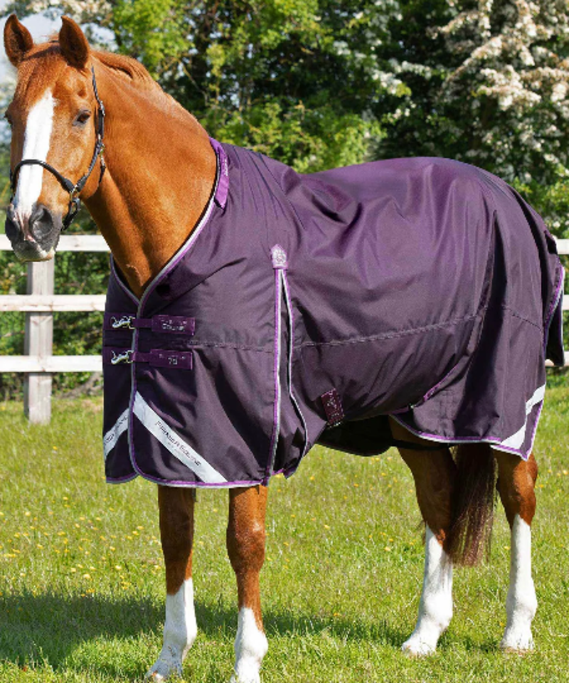 Premier Equine Buster 70g Turnout Rug With Classic Neck Cover - Purple-2