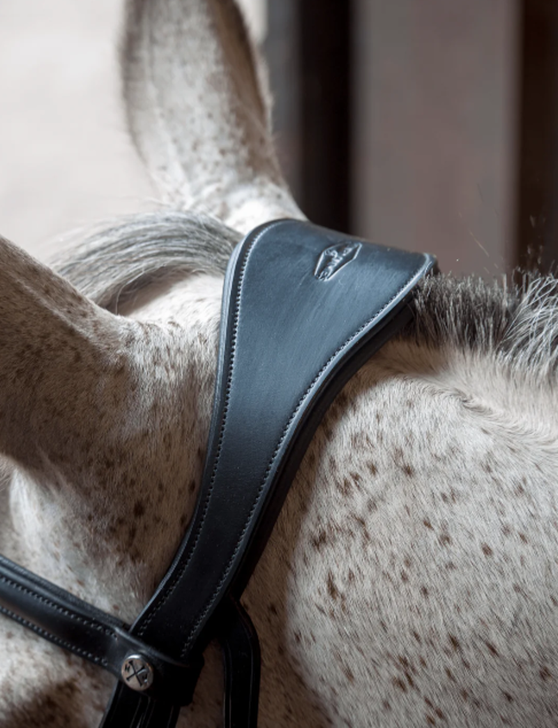Henry James Saddlery Cavesson Bridle - Black-2