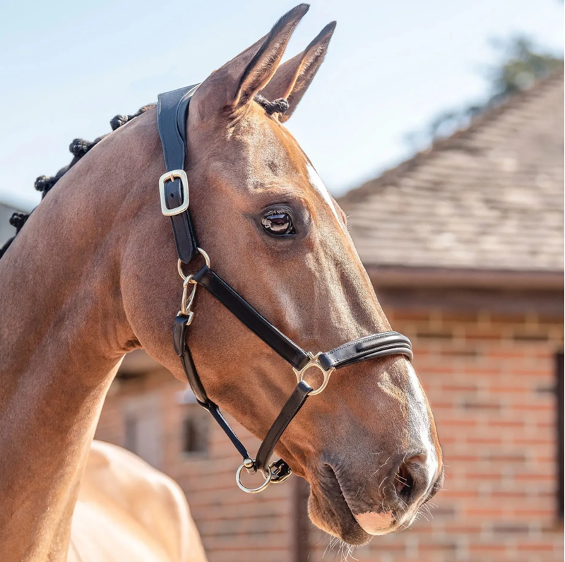 Henry James Saddlery Comfort 3D Air Headcollar - Black
