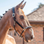 Henry James Saddlery Comfort 3D Air Headcollar - Black