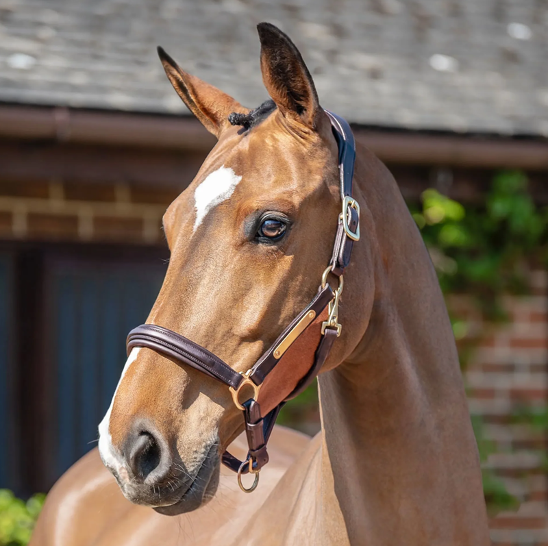 Henry James Saddlery Comfort 3D Air Headcollar - Brown
